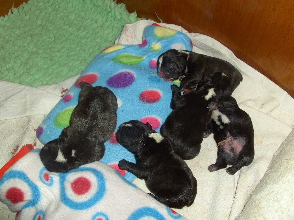 Born today 7-11-2008